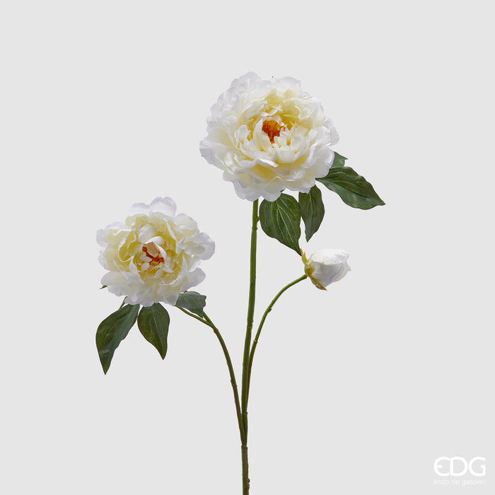 PEONIA RAMOX3 CON FOGLIE E BOCCIOLO H85