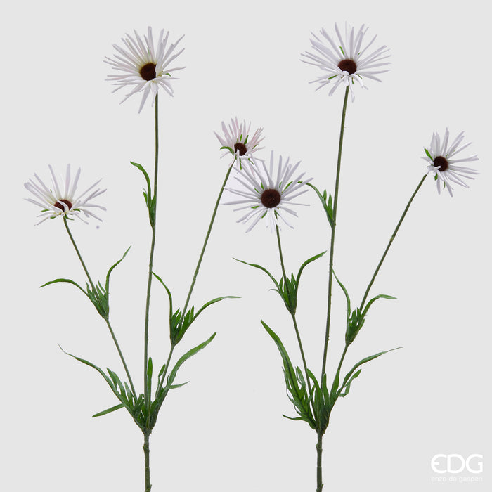 RUDBEKIA RAMO X3 CON FOGLIE (3ASS)