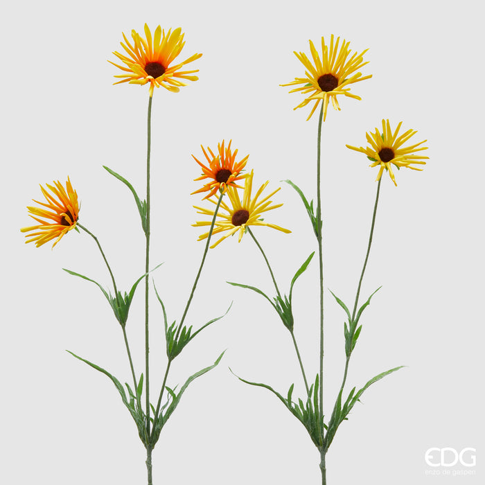 RUDBEKIA RAMO X3 CON FOGLIE (3ASS)
