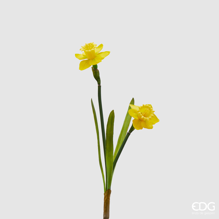 NARCISO RAMO X2 CON FOGLIE H43