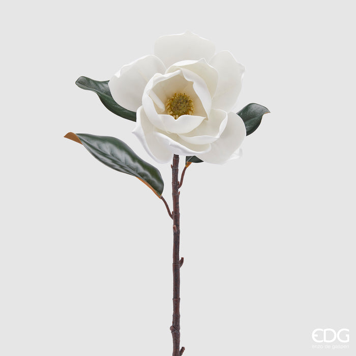 MAGNOLIA SUPREME CON FOGLIE H73 (2ASS)