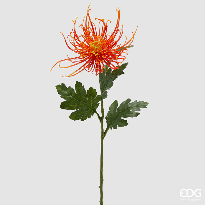 EDG Enzo De Gasperi Ramo di Crisantemo con foglie arancio