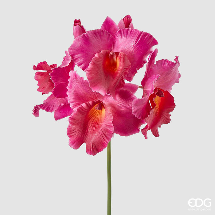 Ramo di Orchidea EDG
