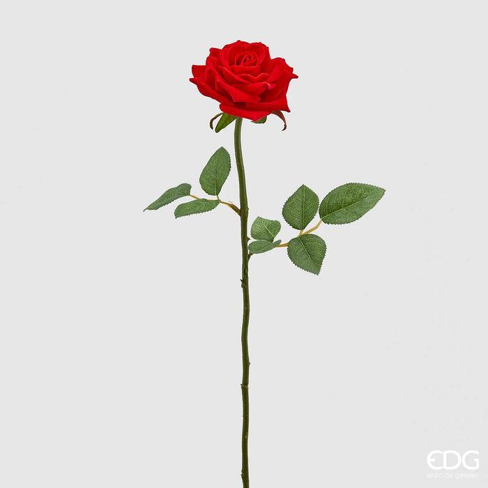 ROSA ROSSA VELLUTO H58