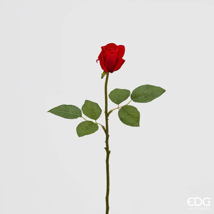 ROSA ROSSA BOCCIOLO H46