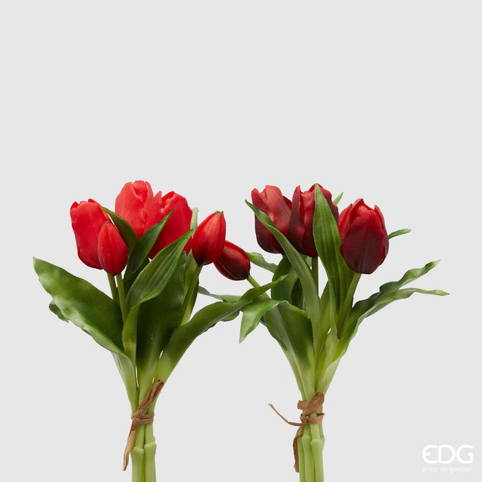 TULIPANO OLIS ROSSO H28 MAZZO 5PZ