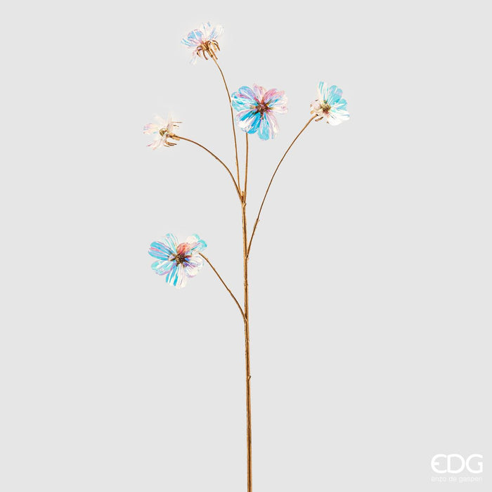 COSMOS REX REFLEX