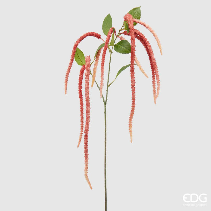 RAMO AMARANTHUS H130