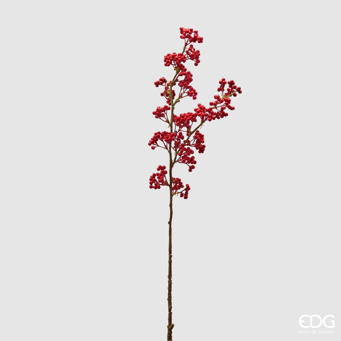 ILEX OLIS RAMO BACCHE ROSSE