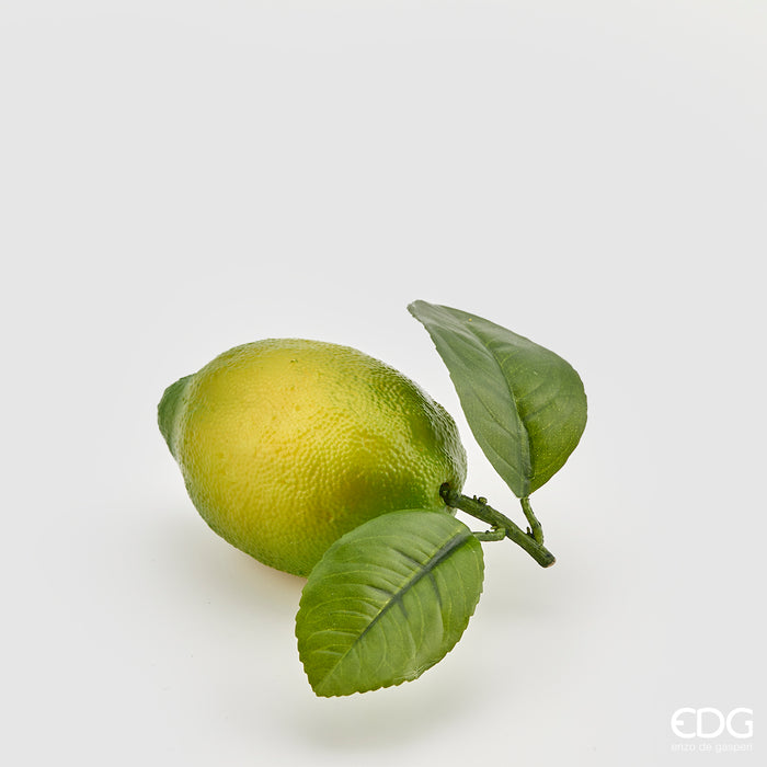 LIME DUKE C/FOGLIE H10