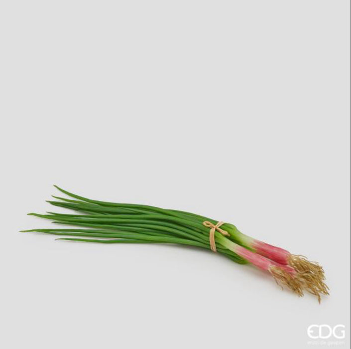ERBA CIPOLLINA MAZZO 4PZ H30 (2ASS)