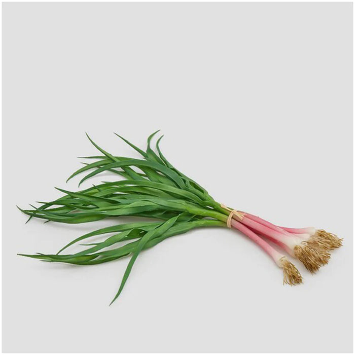 ERBA CIPOLLINA MAZZO 6PZ H30