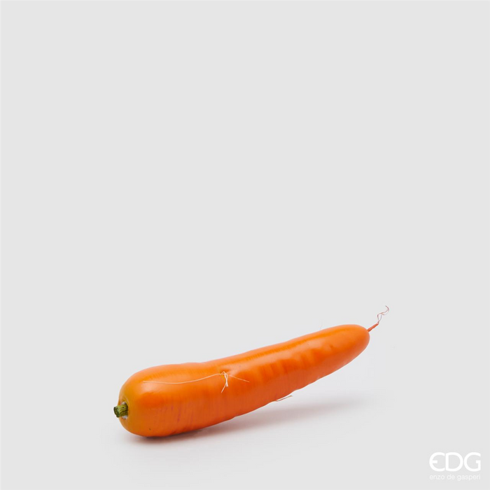CAROTA H13