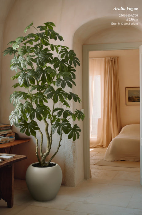 Aralia Vogue con vaso