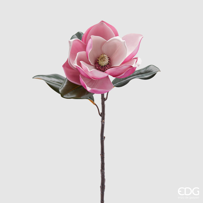 MAGNOLIA SUPREME CON FOGLIE H73 (2ASS)