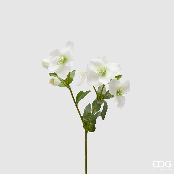 EDG Enzo De Gasperi Ramo di Elleboro artificiale x4 fiori