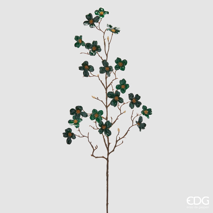 EDG Enzo De Gasperi Ramo di Cornus Glossy