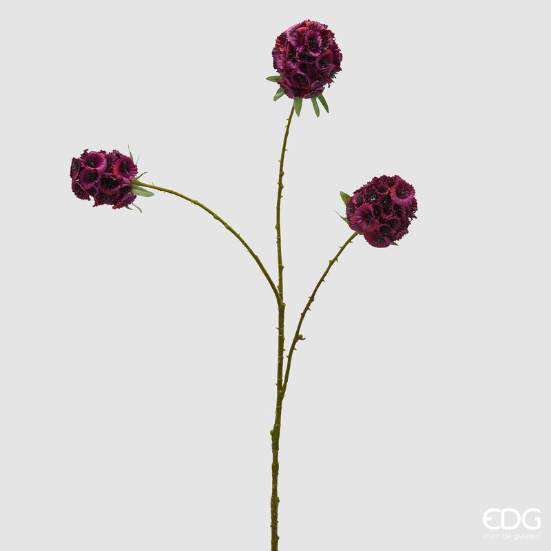 Scabiosa artificiale  EDG H 72 cm