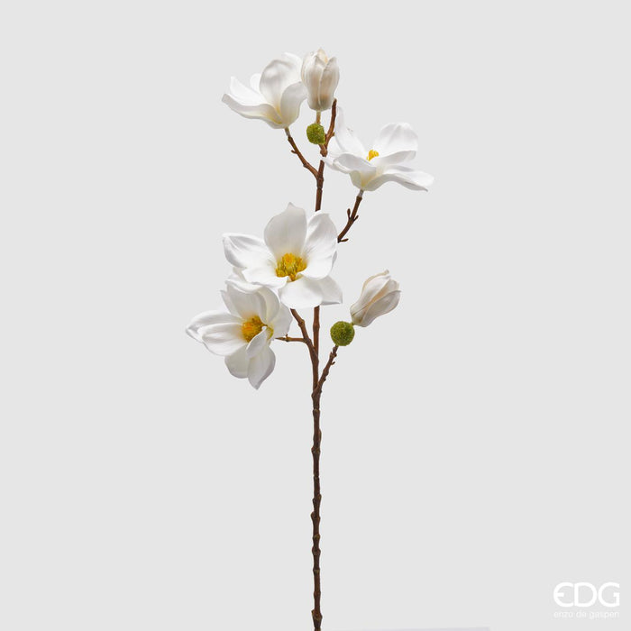 MAGNOLIA OLIS X5 FIORI H65