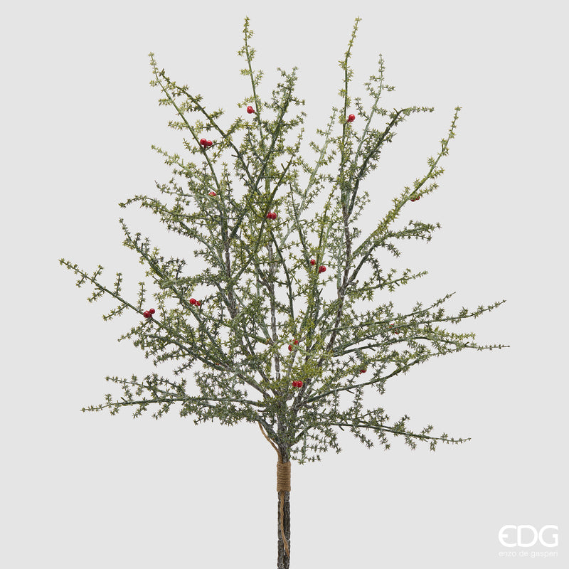 Tasso con bacche EDG mazzo x3 H 70 cm