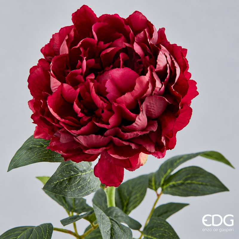 Peonia artificiale Real EDG H72 cm Borgogna