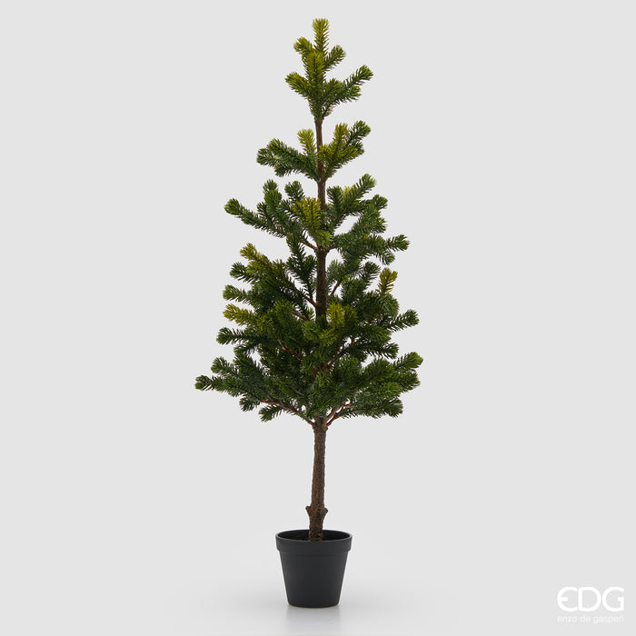 EDG Enzo De Gasperi Pino con vaso – h.80 cm