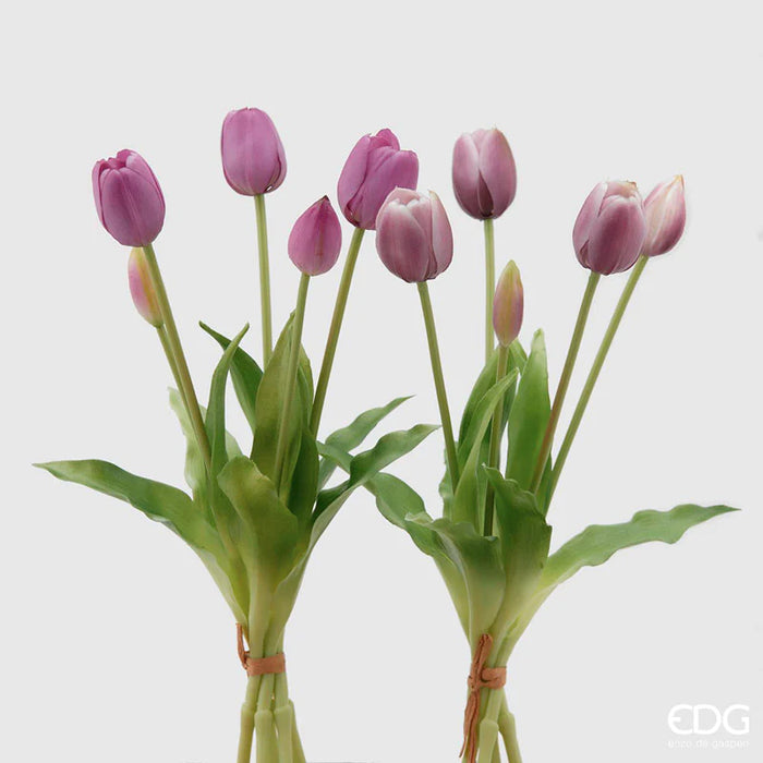 TULIPANO OLIS MAZZO 5PZ  H40 (10ASS)