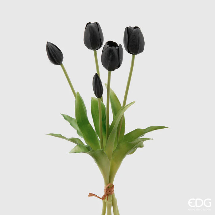TULIPANO OLIS MAZZO 5PZ  H40 (10ASS)