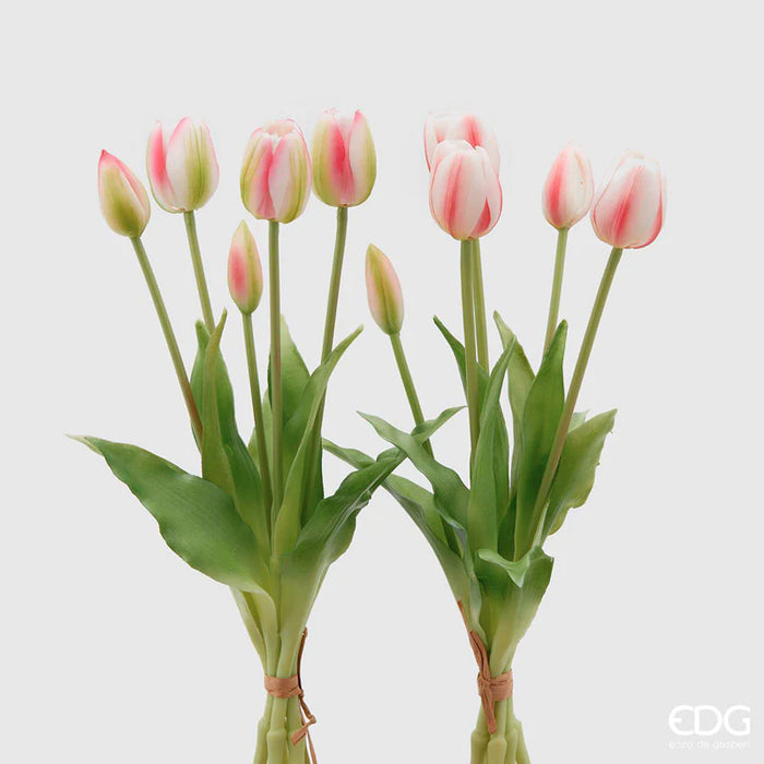 TULIPANO OLIS MAZZO 5PZ  H40 (10ASS)