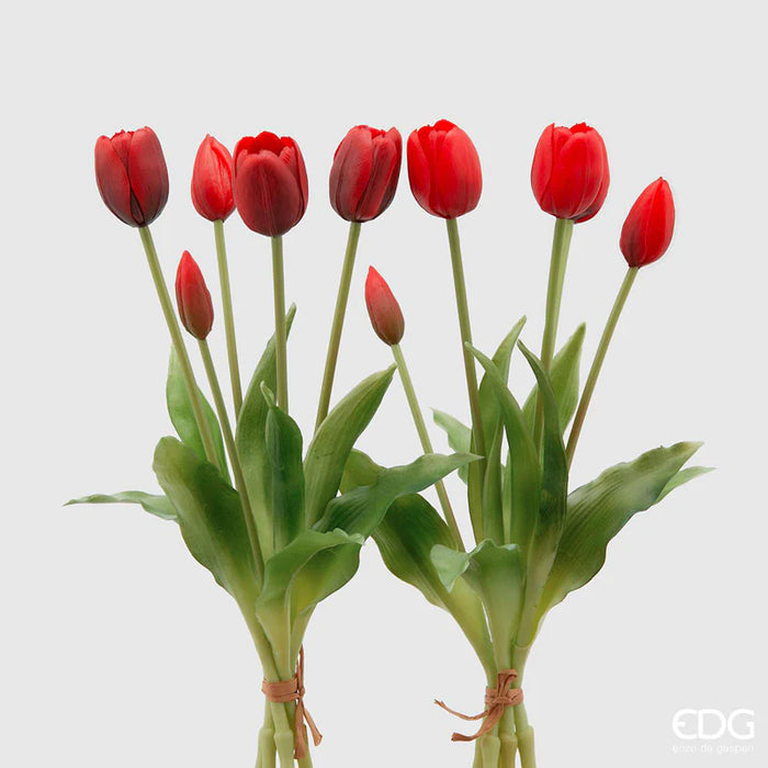 TULIPANO OLIS MAZZO 5PZ  H40 (10ASS)