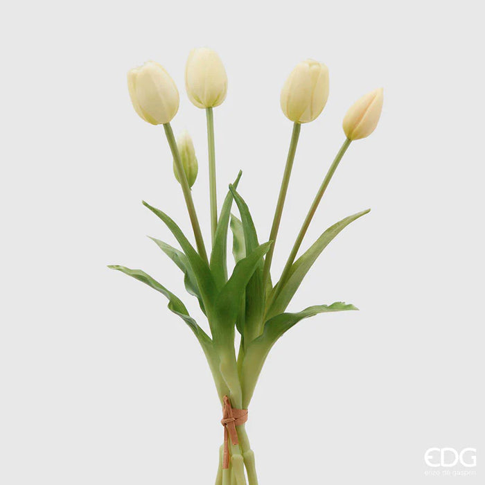 TULIPANO OLIS MAZZO 5PZ  H40 (10ASS)