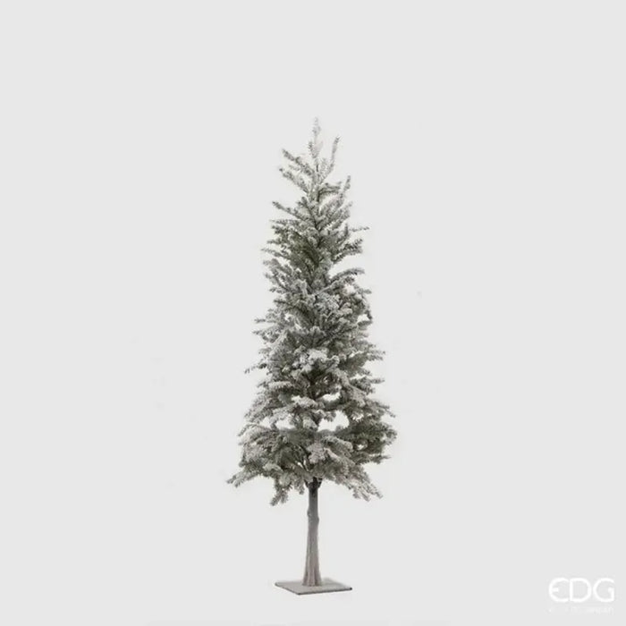 EDG Enzo De Gasperi Pino Superneve con base metal – h.132 cm / h.97 cm