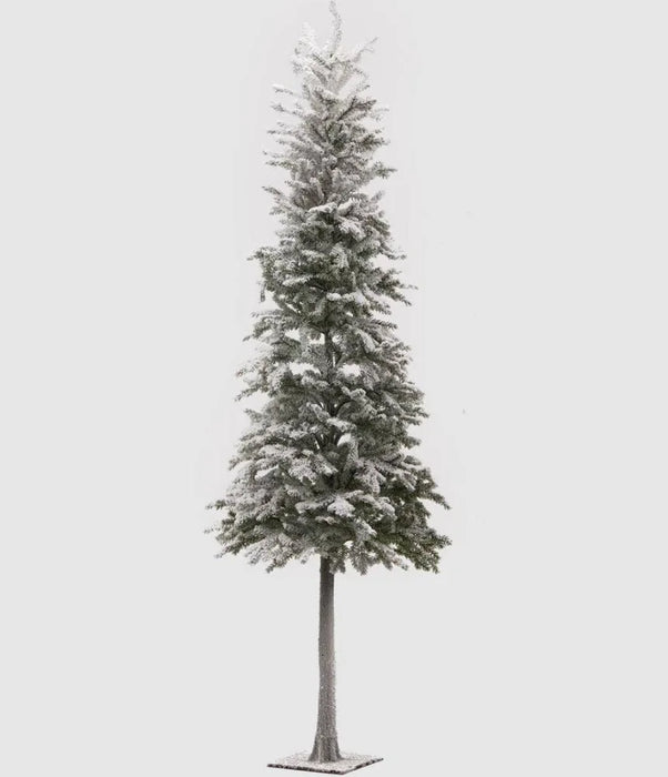 EDG Enzo De Gasperi Pino Superneve con base metal – h.132 cm / h.97 cm