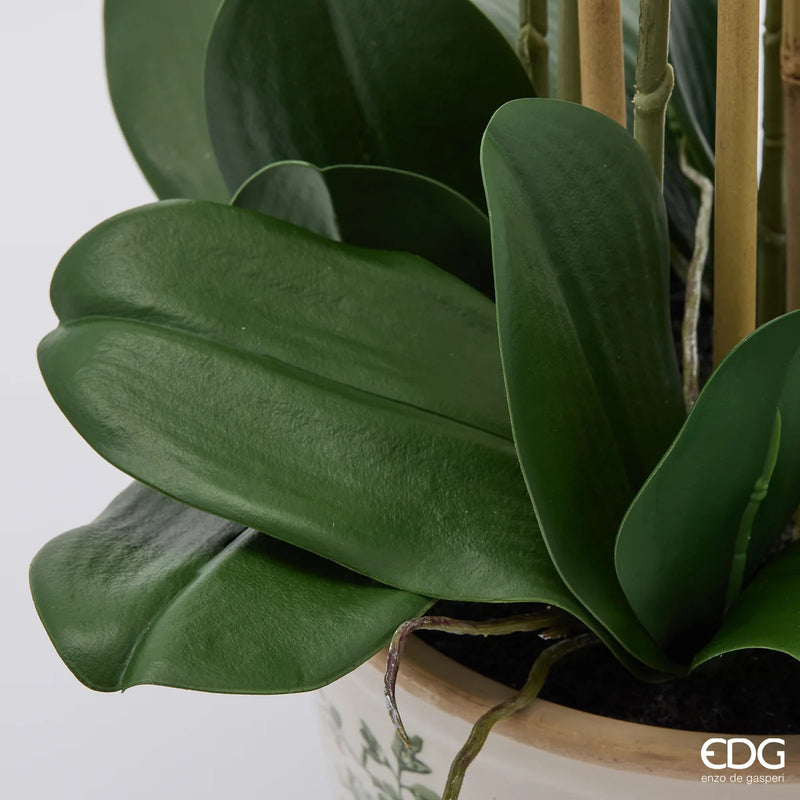 Orchidea Phalaenopsis Real Touch EDG x8 con vaso H 90 cm