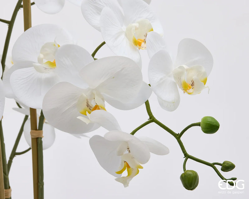 Orchidea Phalaenopsis Real Touch EDG x8 con vaso H 90 cm