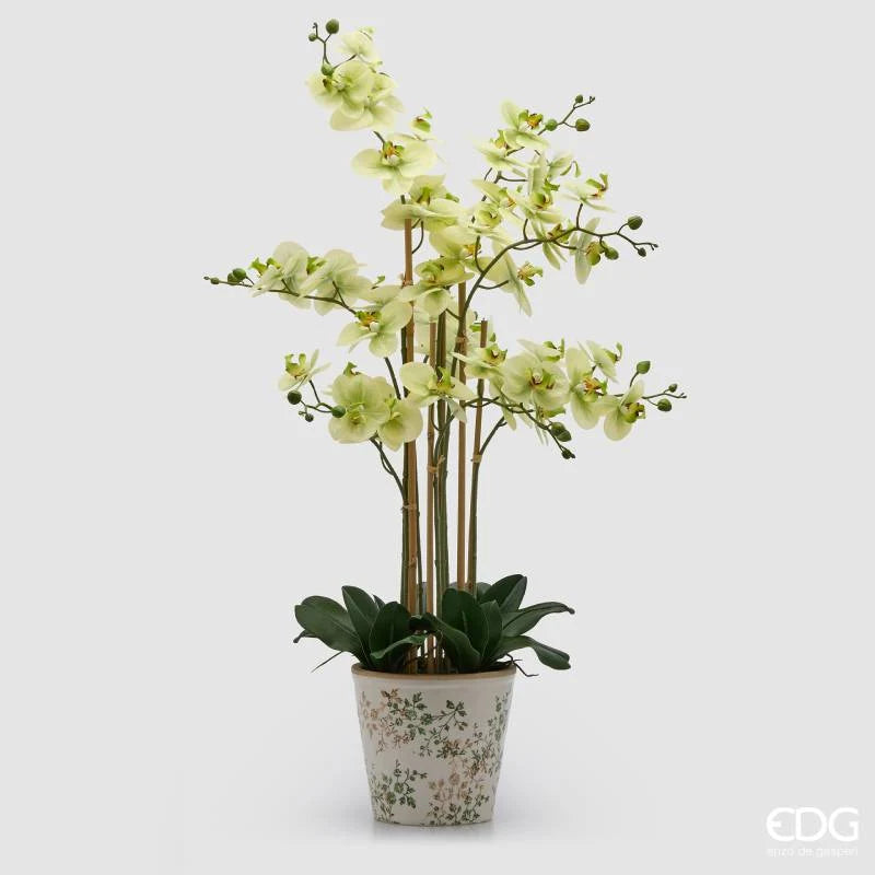 Orchidea Phalaenopsis Real Touch EDG x8 con vaso H 90 cm