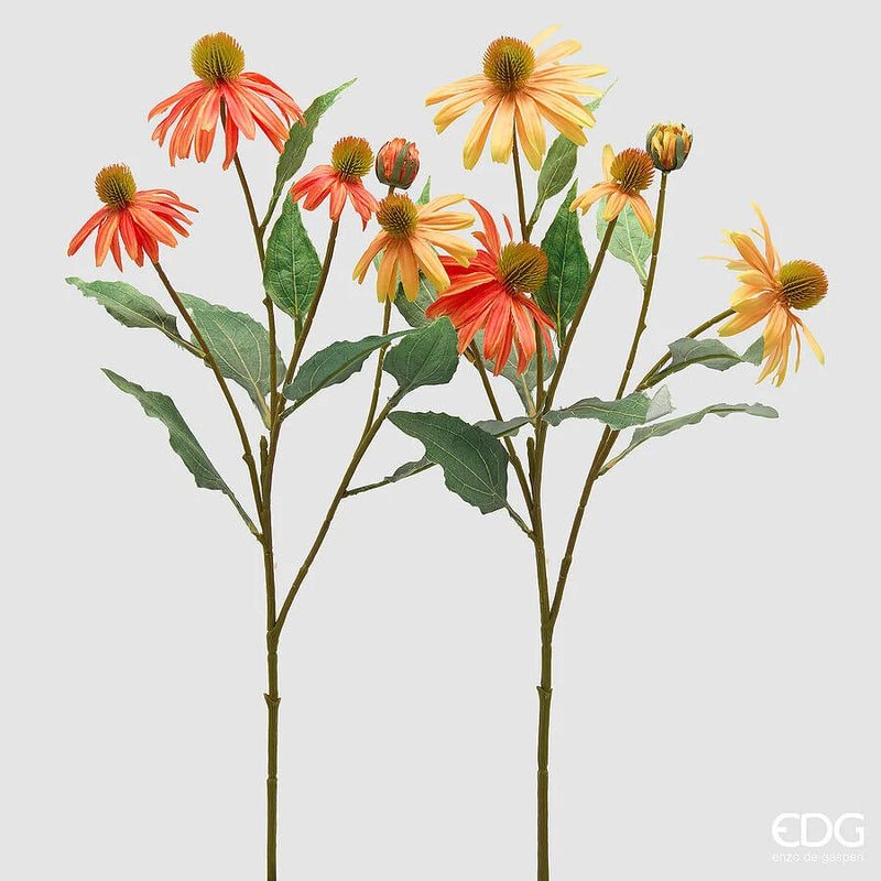 Rudbeckia artificiale EDG