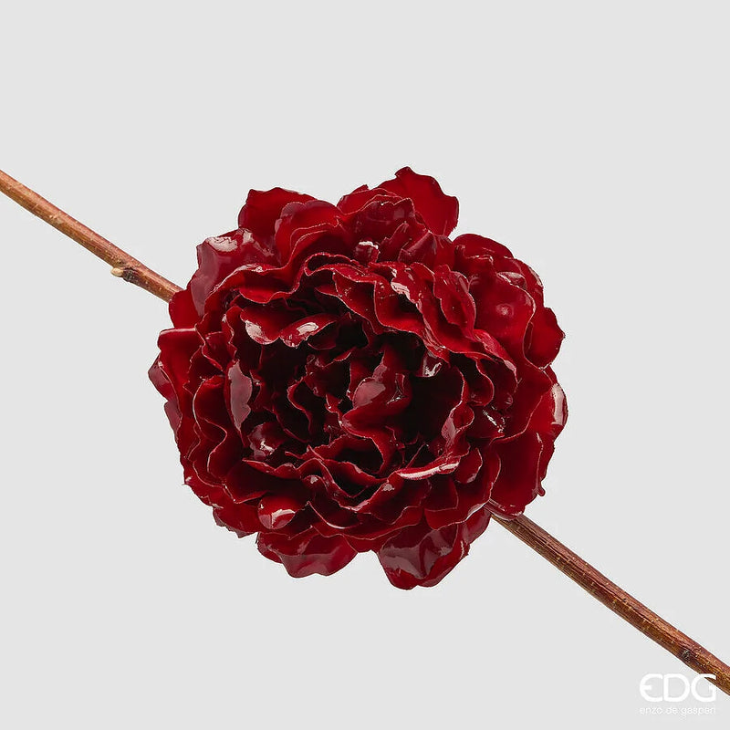 Peonia Glossa EDG con clip