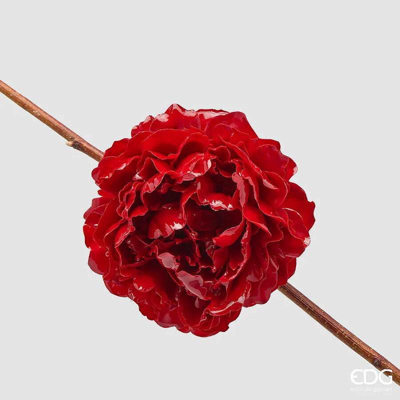 Peonia Glossa EDG con clip