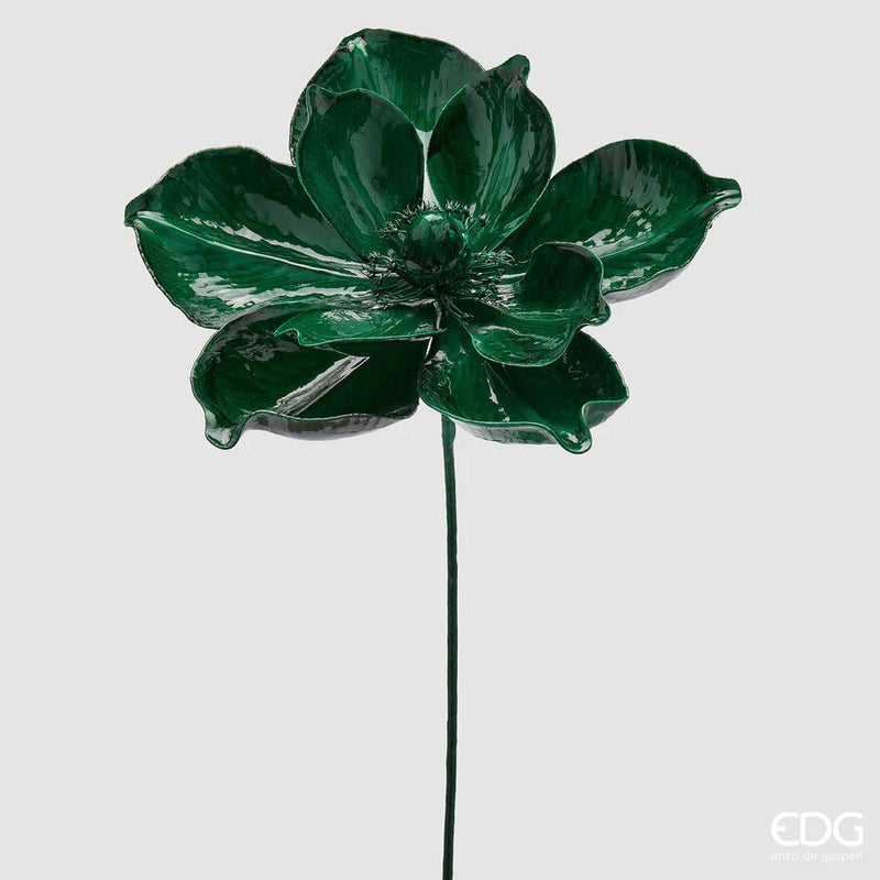 Magnolia Glossa EDG ramo