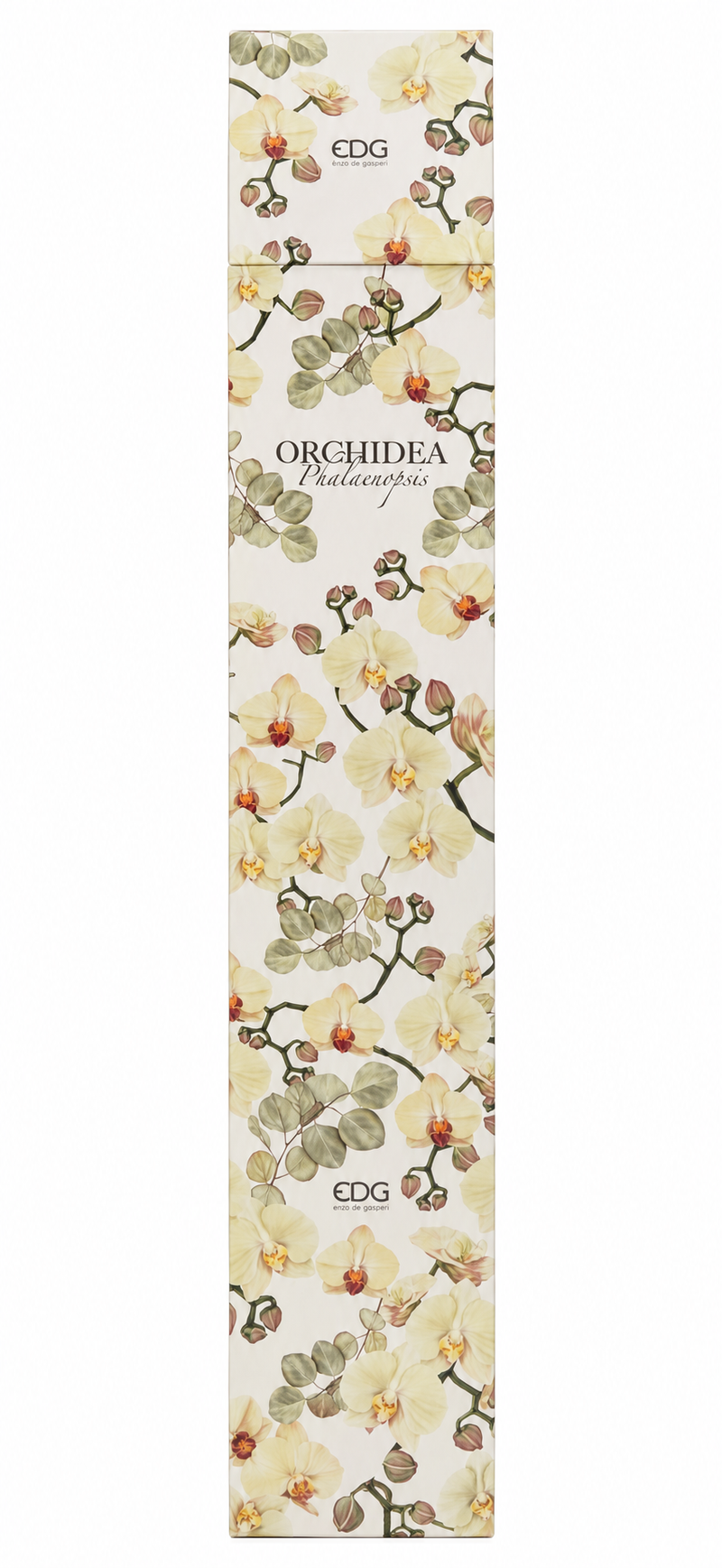 Orchidea Phalaenopsis EDG con vaso