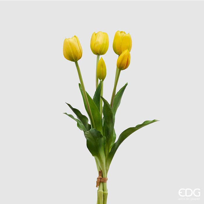 TULIPANO OLIS MAZZO 5PZ  H40 (10ASS)