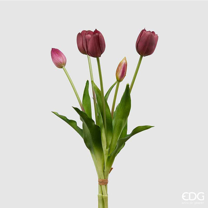 TULIPANO OLIS MAZZO 5PZ  H40 (10ASS)